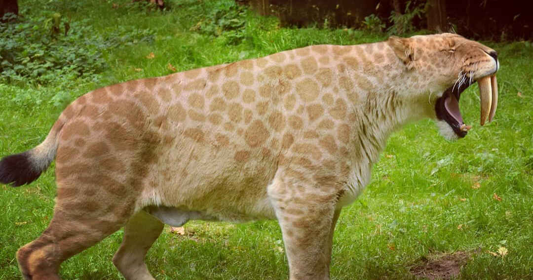 Палеонтолог объяснил наличие двойных клыков у некоторых саблезубых