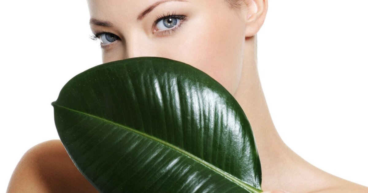 Лайфхаки на каждый день для свежести кожи Лайфхаки на каждый день для свежести кожи