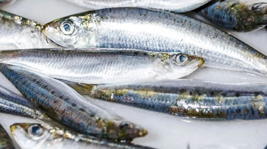 Ученые выяснили, что едят японцы после 40 лет для профилактики рака