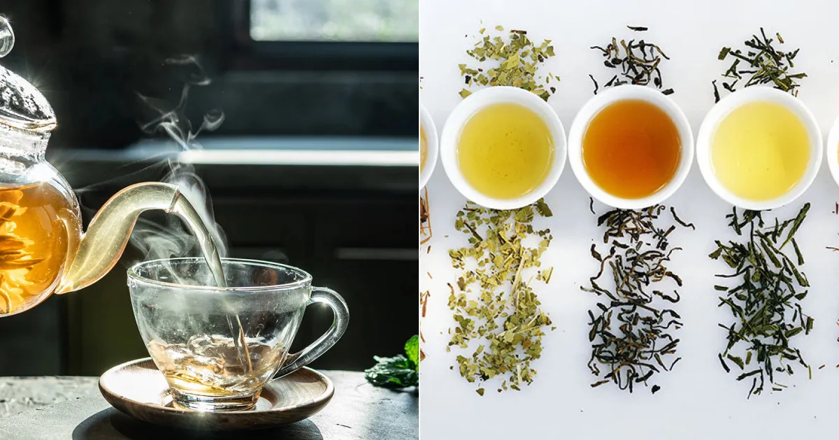 Как разобраться в разных сортах чая