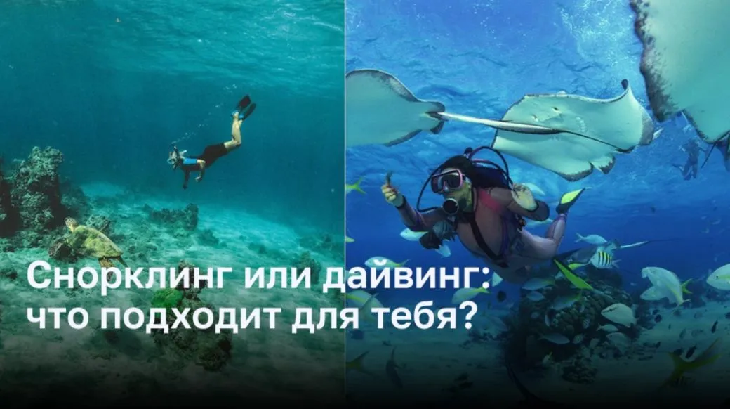 Снорклинг или дайвинг: что подходит для тебя?