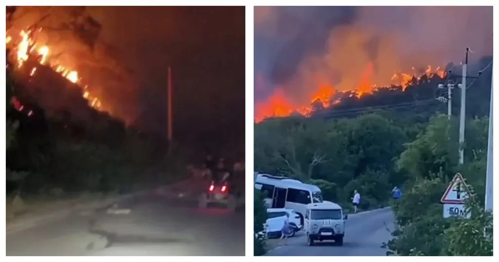 Что известно о лесном пожаре между Анапой и Абрау-Дюрсо