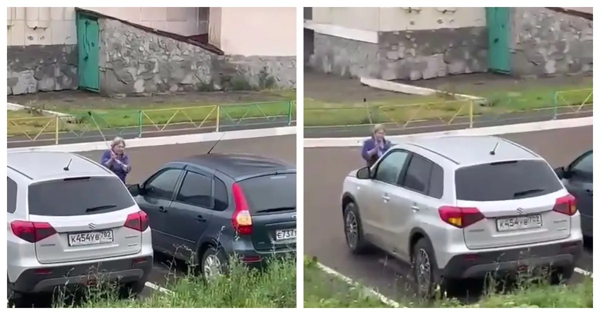 88-летняя женщина с криком разгромила клюкой авто возле дома