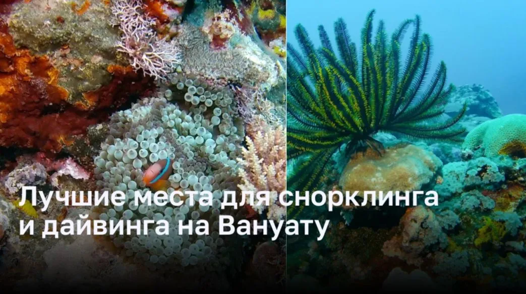 Лучшие места для снорклинга и дайвинга на Вануату