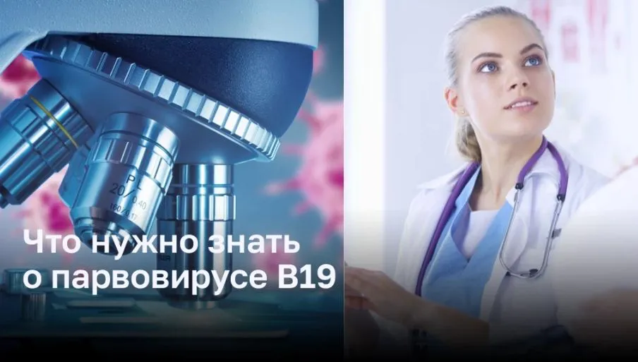 Что нужно знать о парвовирусе B19