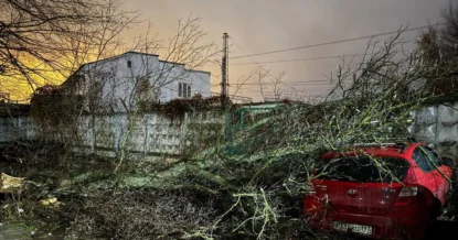 Девушку раздавило во время урагана в Подмосковье