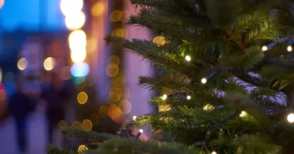 Врач рассказал о скрытой опасности новогодней ёлки
