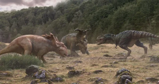 Уникальное собрание окаменелостей найдено в Китае