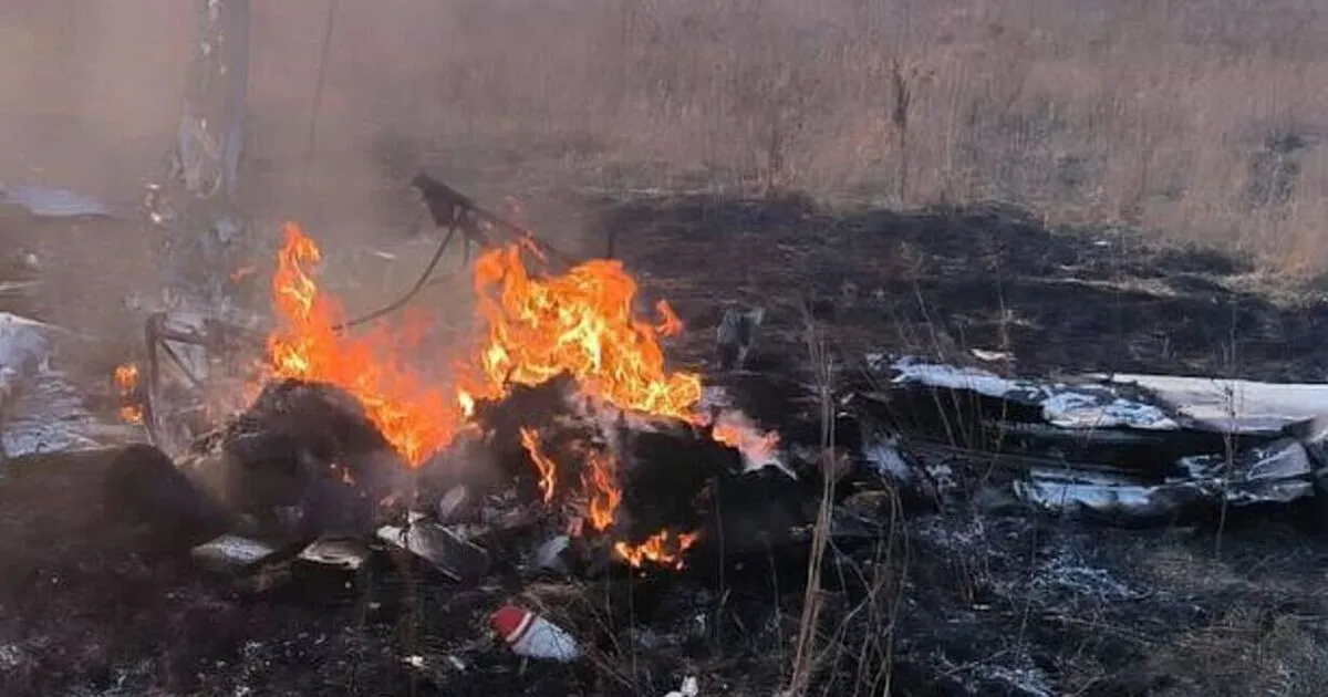 В Подмосковье разбился самолет