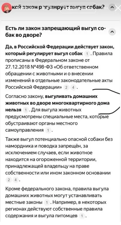 На Сергея Зверева напали в Москве