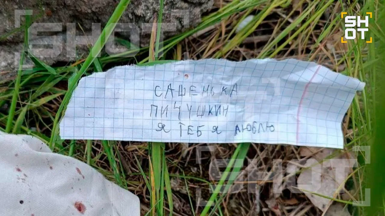 У 14-летней подражательницы битцевского маньяка подозревали шизофрению