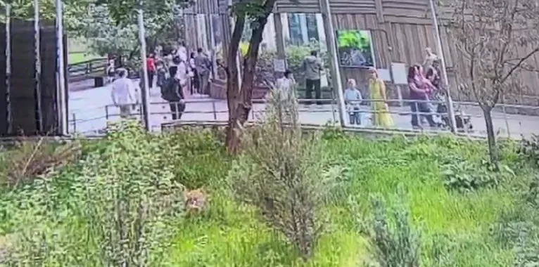 В Московском зоопарке неизвестный пытался отравить зверей В Московском зоопарке неизвестный пытался отравить зверей