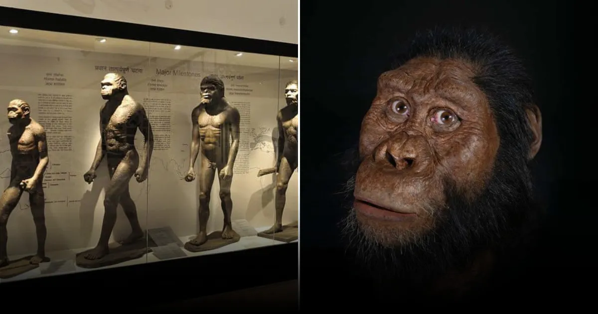 Учёные раскрыли секрет эволюционного рывка человечества