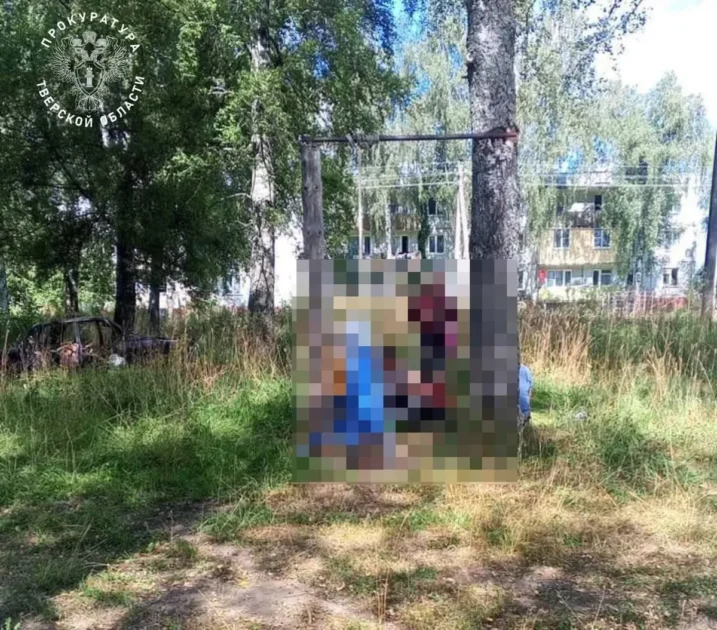 В Тверской области ребенок погиб из-за качелей В Тверской области ребенок погиб из-за качелей