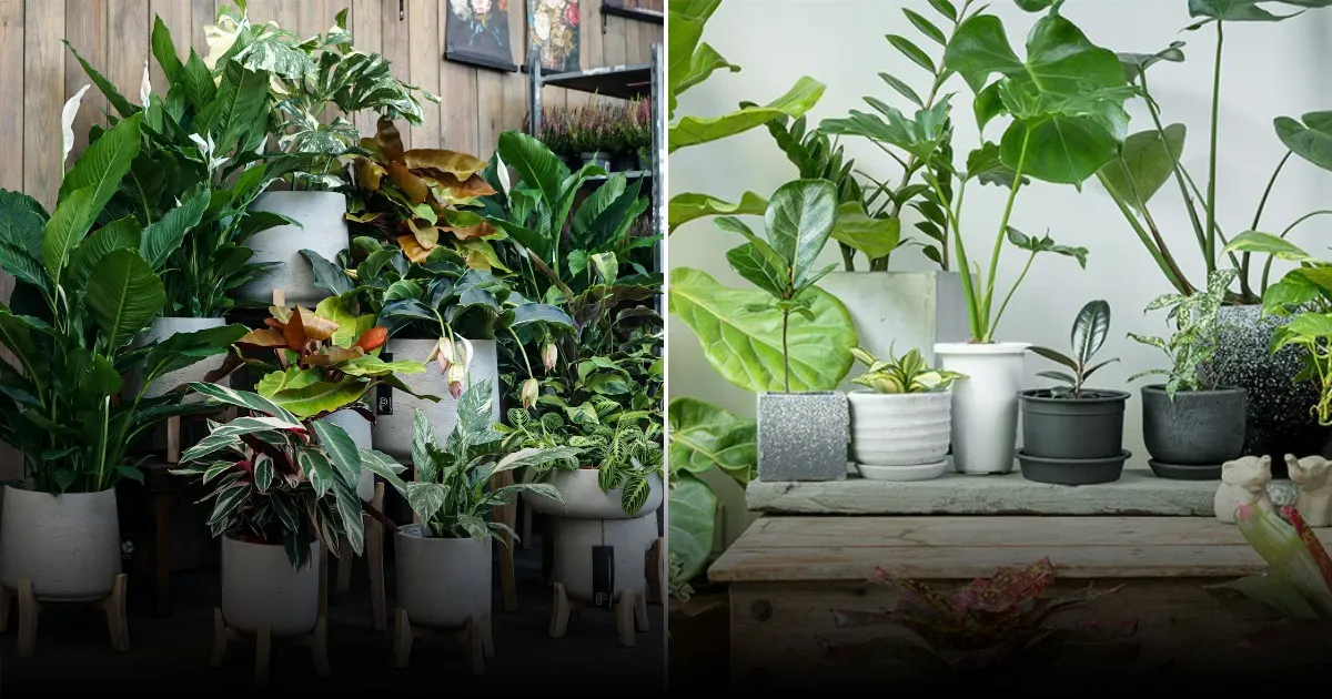 Зелень в углу: как вертикальная композиция из растений добавляет уют