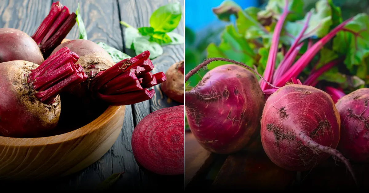 Что полезнее: варёная или запечённая свекла: мнение диетологов