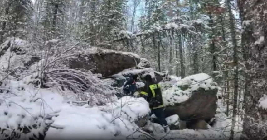 У пропавшего Усольцева обнаружен сын, который живет в США под новым именем