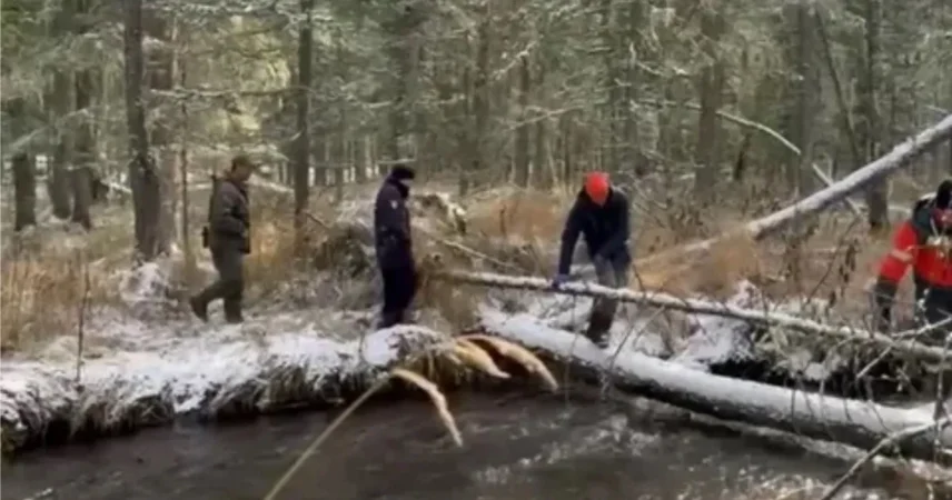Сын Усольцевой отказался считать семью погибшей
