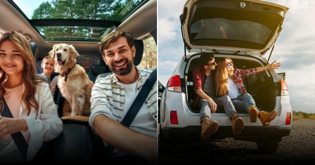 Летние приключения: научные путешествия и открытия для всей семьи