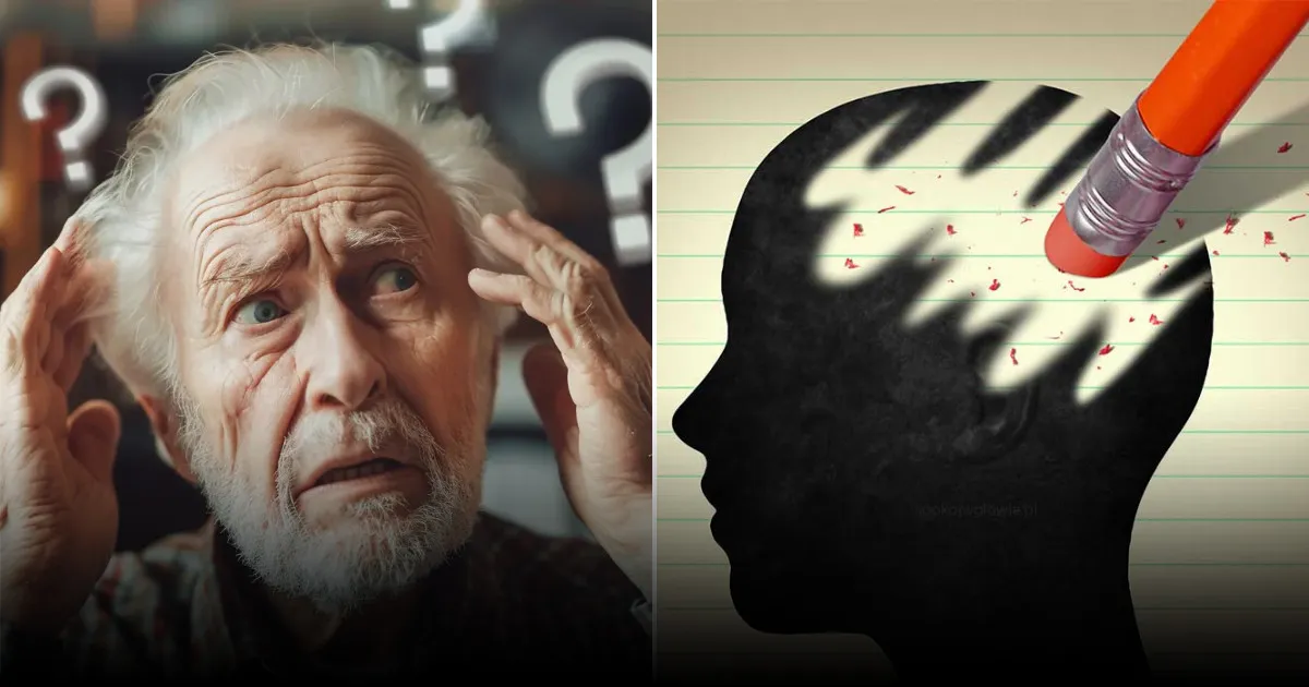 Нейробиологи рассказали про 5 ключевых периодов развития человеческого мозга