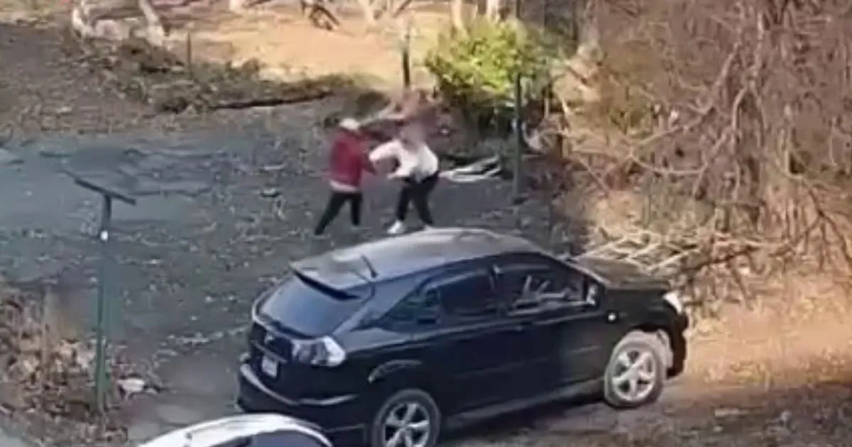 Пенсионерка во Владивостоке покусала соседей и избила их бревном