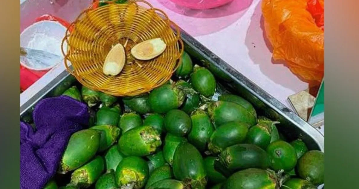 Российские школьники массово скупают опасный «наркотический» орех Российские школьники массово скупают опасный «наркотический» орех