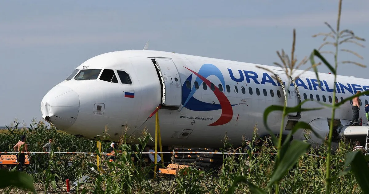 МАК назвал причины экстренной посадки самолета А321 в Подмосковье в 2019 году МАК назвал причины экстренной посадки самолета А321 в Подмосковье в 2019 году
