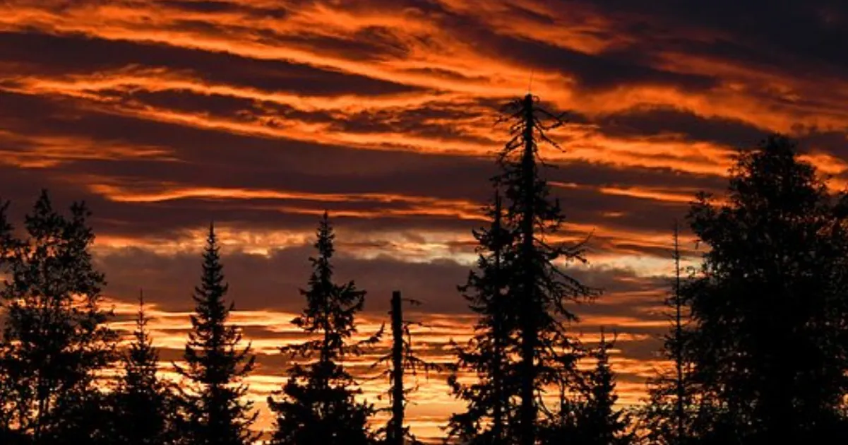 Отец пятерых детей пропал после исчезновения Усольцевых под Красноярском