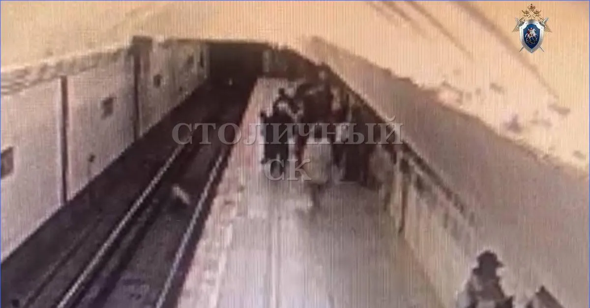 Стало известно, сколько лет грозит женщине, толкнувшей девочку в метро Москвы Стало известно, сколько лет грозит женщине, толкнувшей девочку в метро Москвы