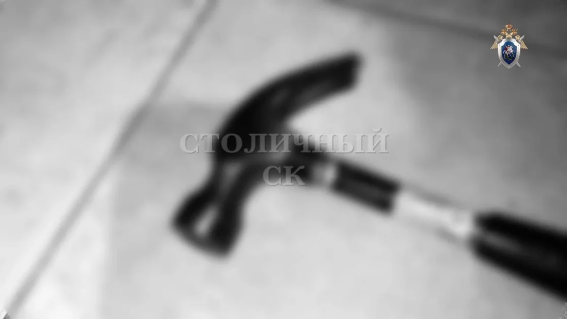 Москвичка убила своего шестилетнего сына Москвичка убила своего шестилетнего сына