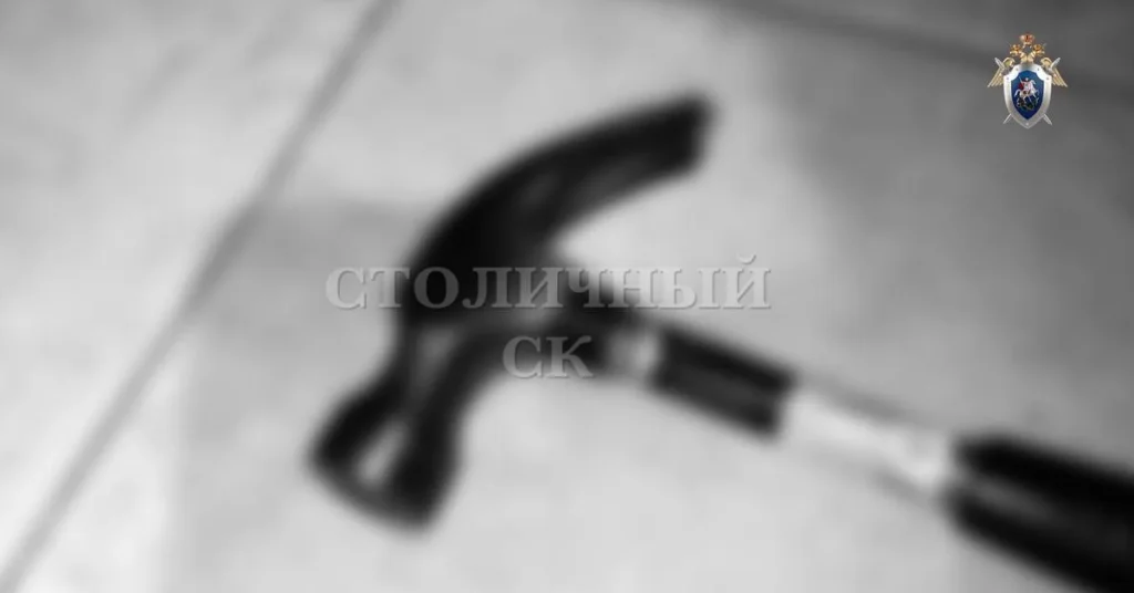 Москвичка убила своего шестилетнего сына