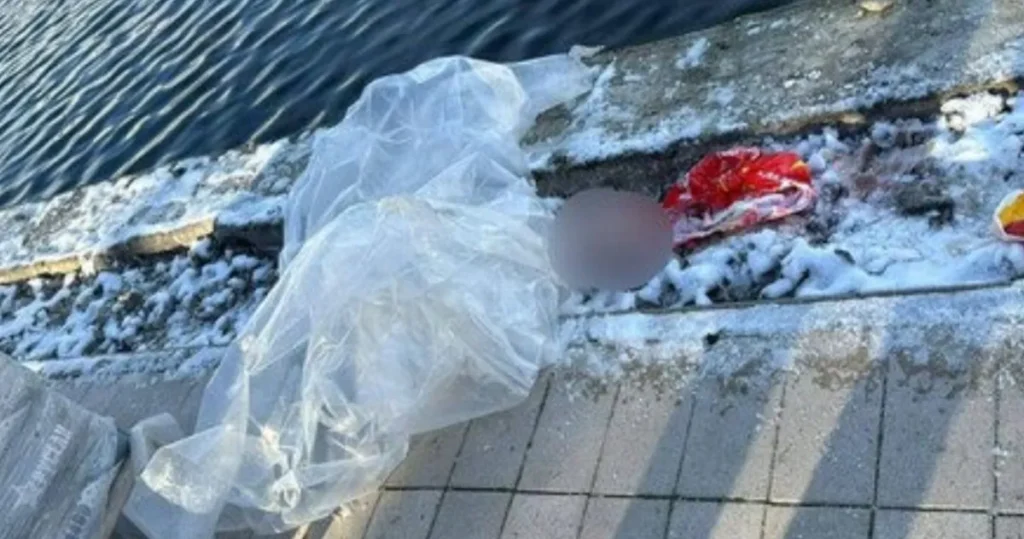 Названа предварительная причина смерти найденного в московском пруду ребенка