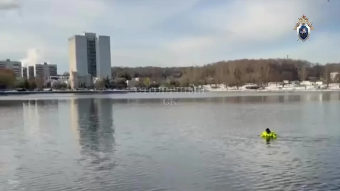 Появился подозреваемый в деле об убийстве мальчика из Гольяновского пруда Появился подозреваемый в деле об убийстве мальчика из Гольяновского пруда