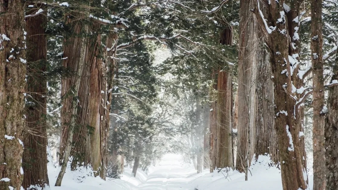  В ЯНАО пропала семья оленеводов с четырьмя маленькими детьми