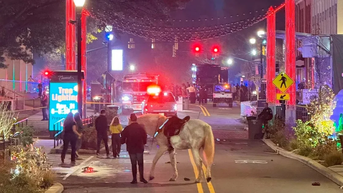 Стрельба произошла во время церемонии зажжения рождественской ели в США