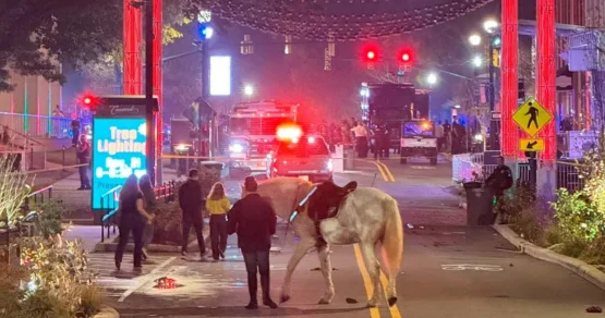 Стрельба произошла во время церемонии зажжения рождественской ели в США