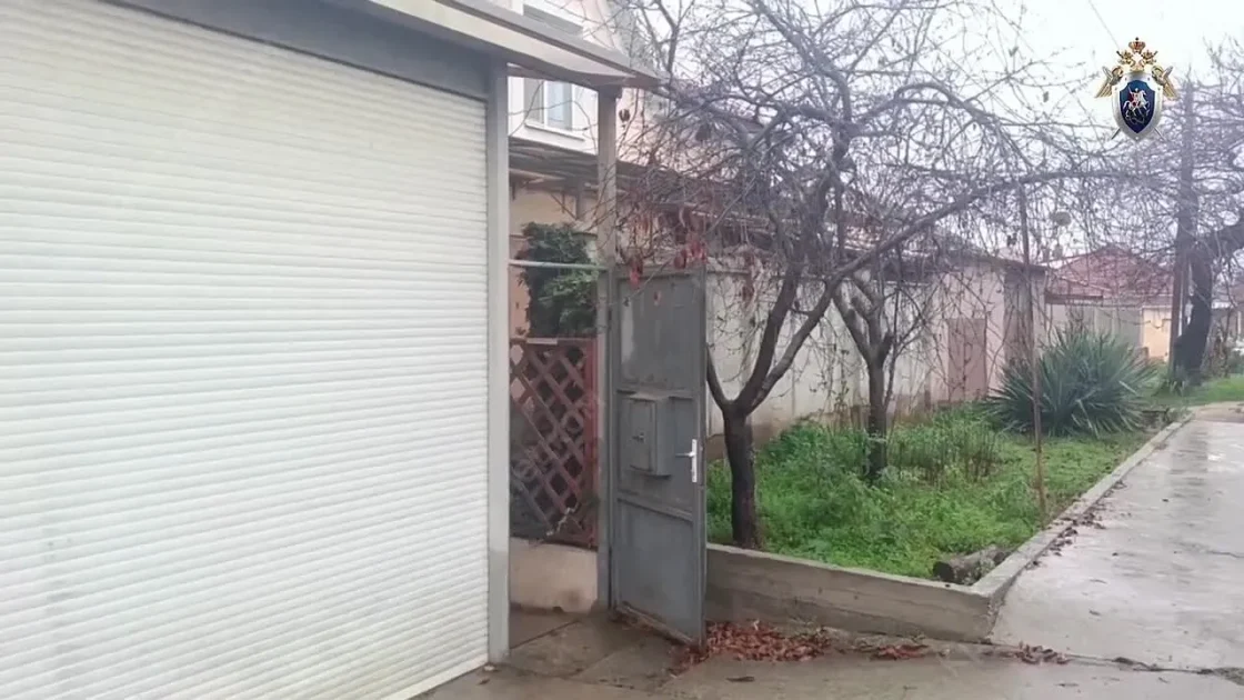 Раскрыто состояние матери и сына, на которых в Крыму напал мужчина с топором