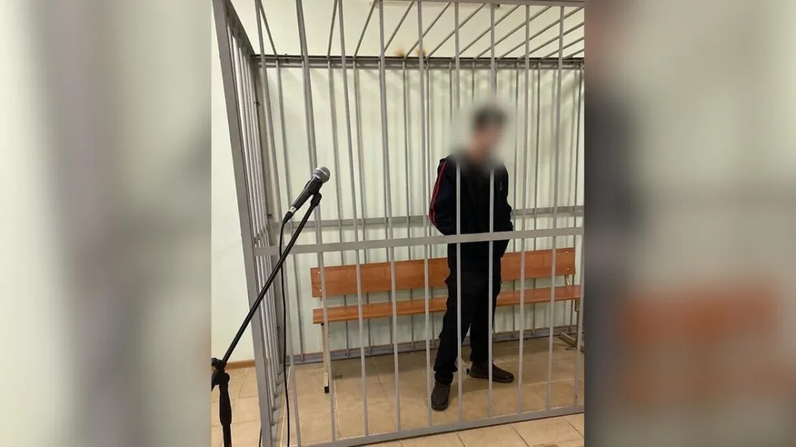 В Ленобласти внук напал на бабушку и дедушку с ножом