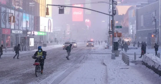 Спасатели рассказали про последствия непогоды в Москве