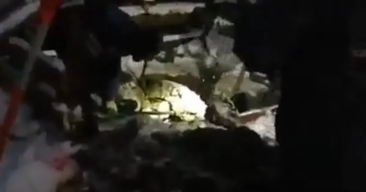 Найдена тела убитых «богородским маньяком» девушек