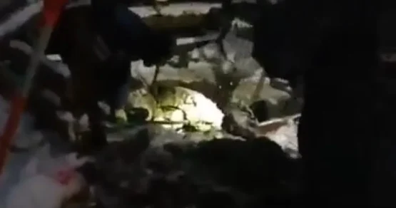 Найдена тела убитых «богородским маньяком» девушек