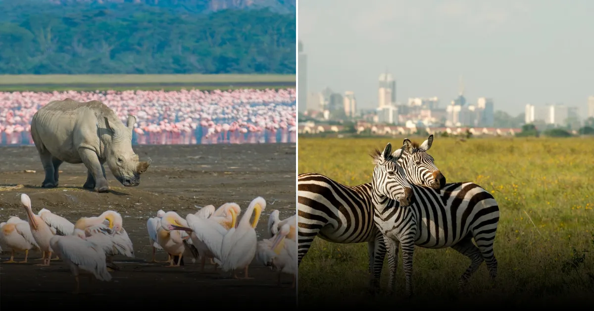 Что нужно знать перед поездкой в Кению: 16 важных советов