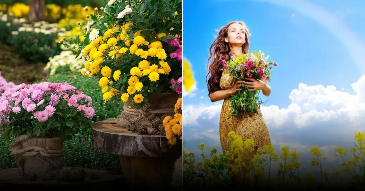 Названа неожиданная опасность цветочных букетов Названа неожиданная опасность цветочных букетов