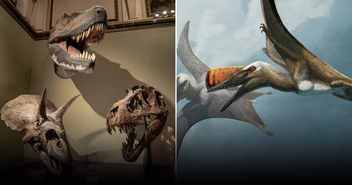 Следы древних рептилий, найденные в Австралии, меняют наши представления о эволюции