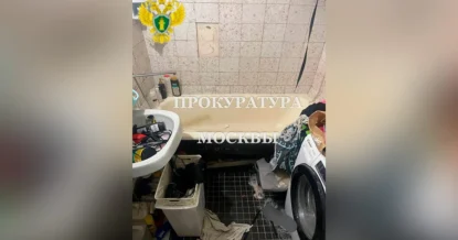 Женщина утопила своего пятилетнего сына на юге Москвы