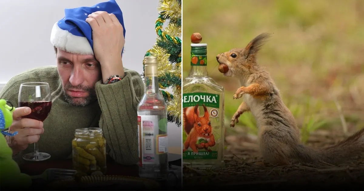 Эксперт назвал стадии восстановления организма после алкоголя Эксперт назвал стадии восстановления организма после алкоголя