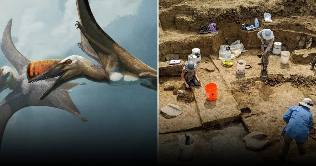 Новая находка палеонтологов в Австралии меняет взгляд на эволюцию наземных животных