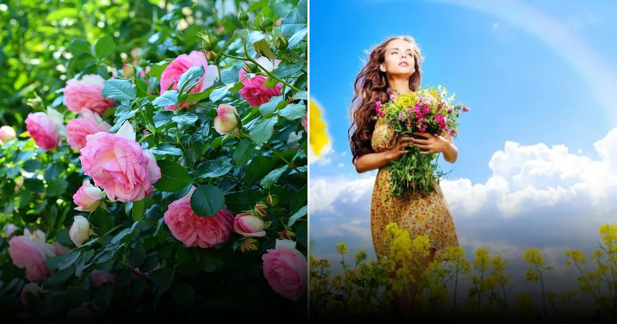 В преддверии 8 марта в России фиксируется резкий рост цен на цветочные букеты