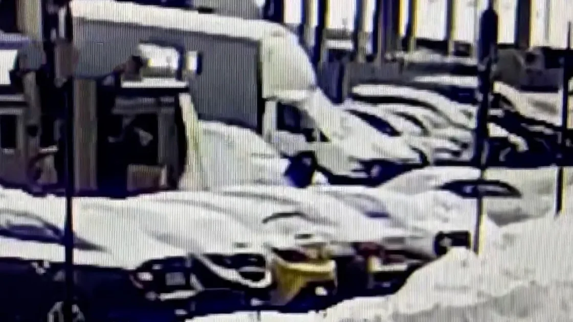 Соседи пострадавшего от петарды мальчика пожаловались на его семью