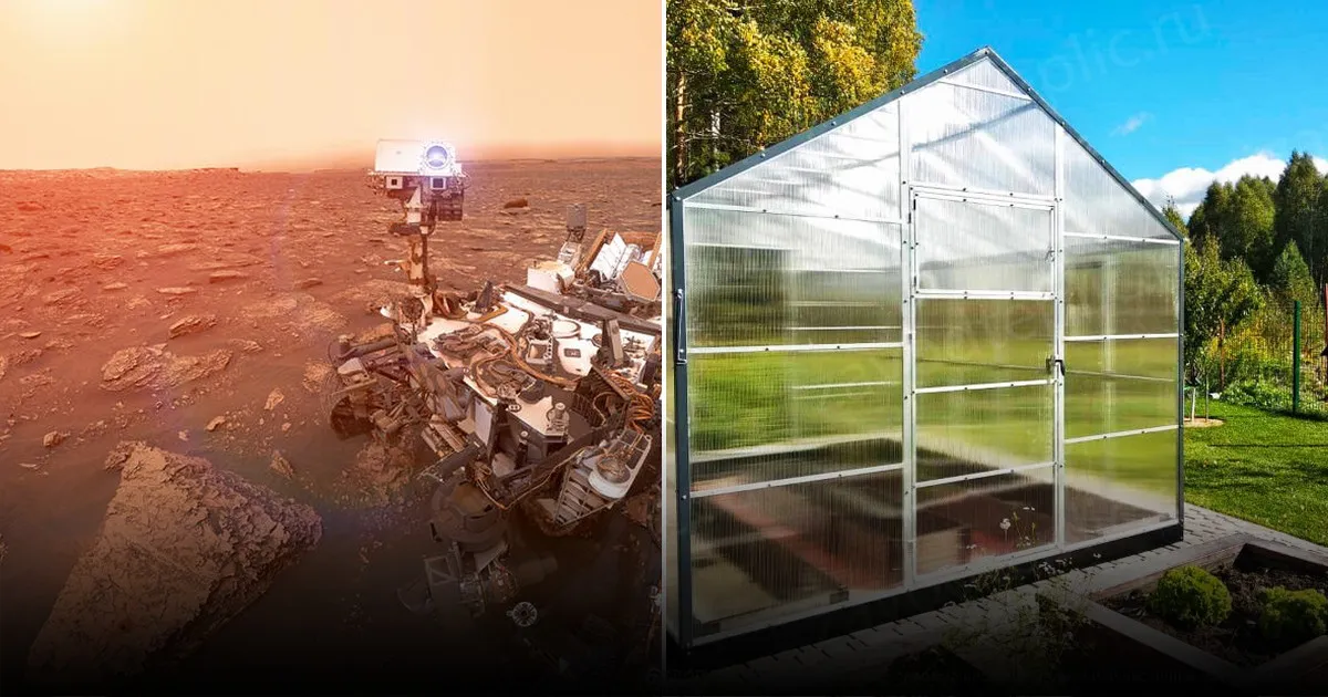 Можем ли мы выращивать растения на лунной и марсианской почве: ответ учёных Можем ли мы выращивать растения на лунной и марсианской почве: ответ учёных